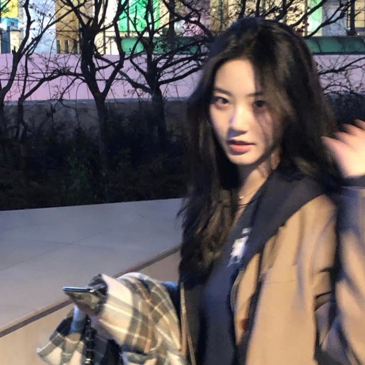 冈格尔的复仇